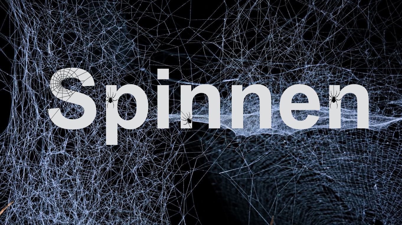 Präsentation - Spinnen