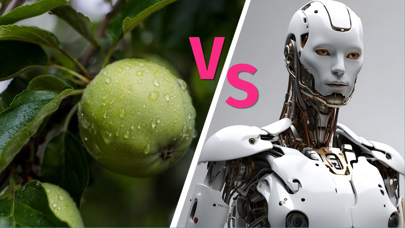 Präsentation - Äppel vs Androiden