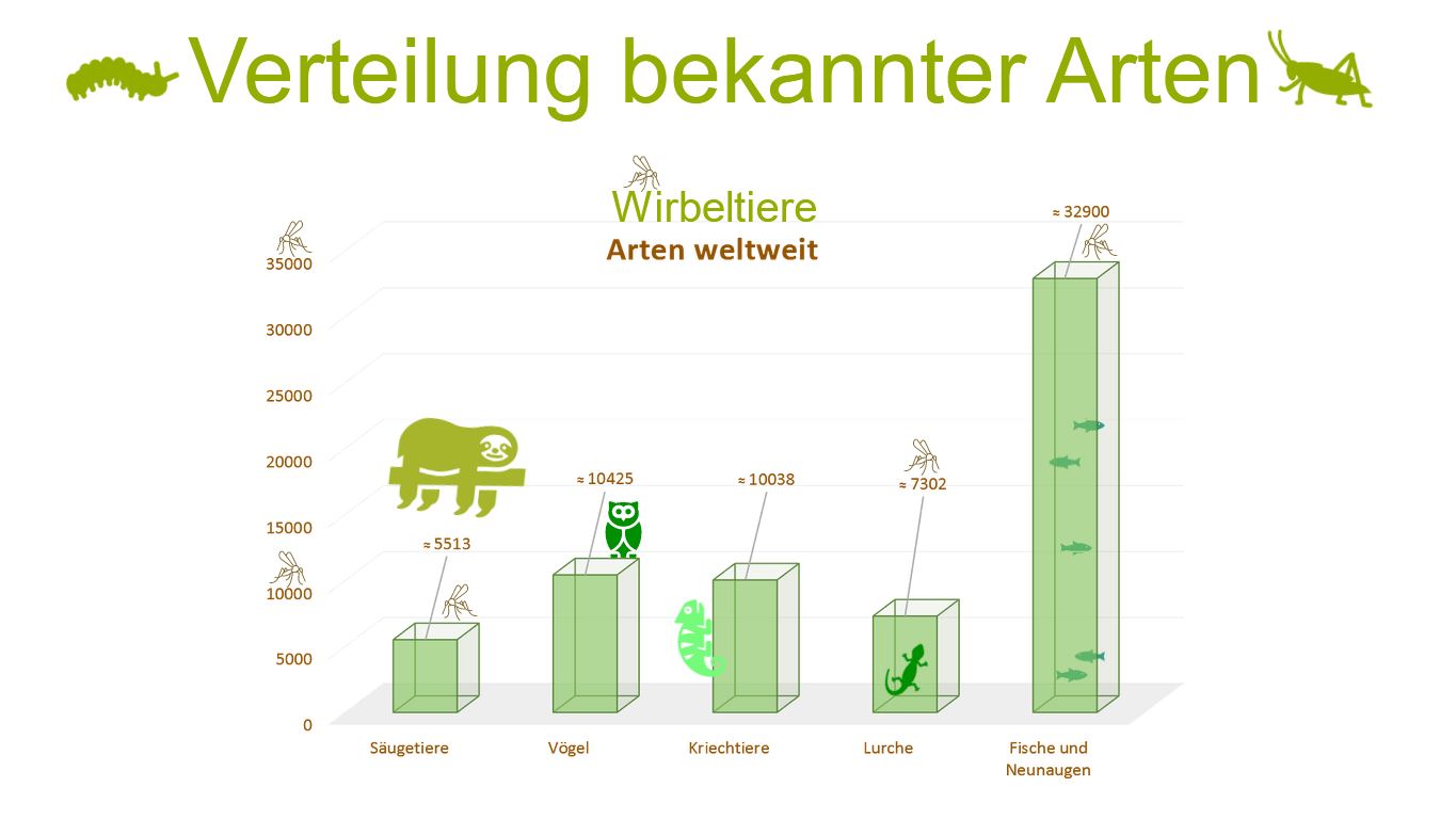 Präsentation - Biodiversität
