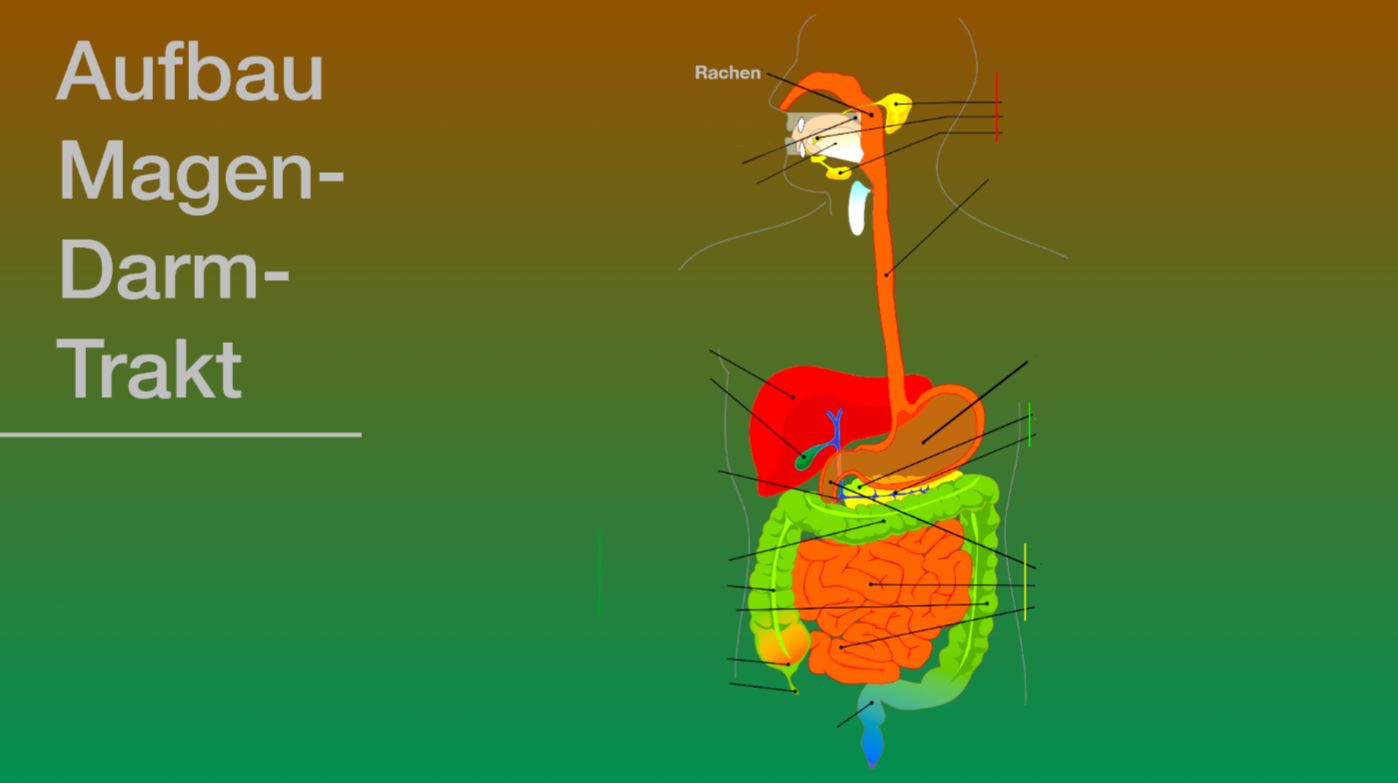 Präsentation - Flatulenzen