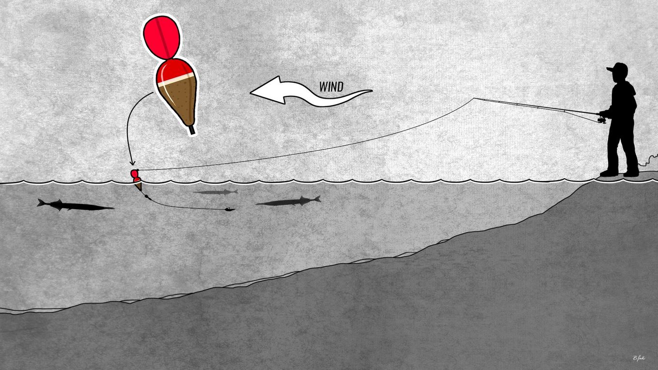 Präsentation - Hornhecht angeln